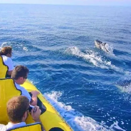 60m2 Lovely Traditional In Clube